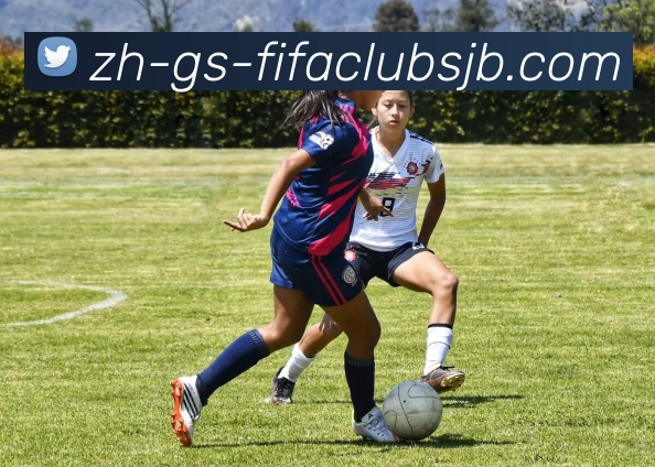 世界杯赛程服务体系